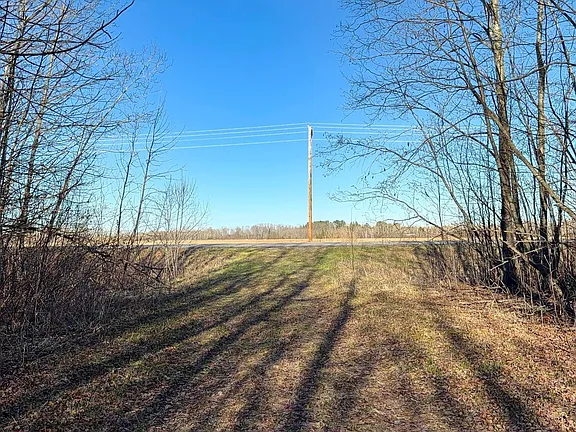 pic 6